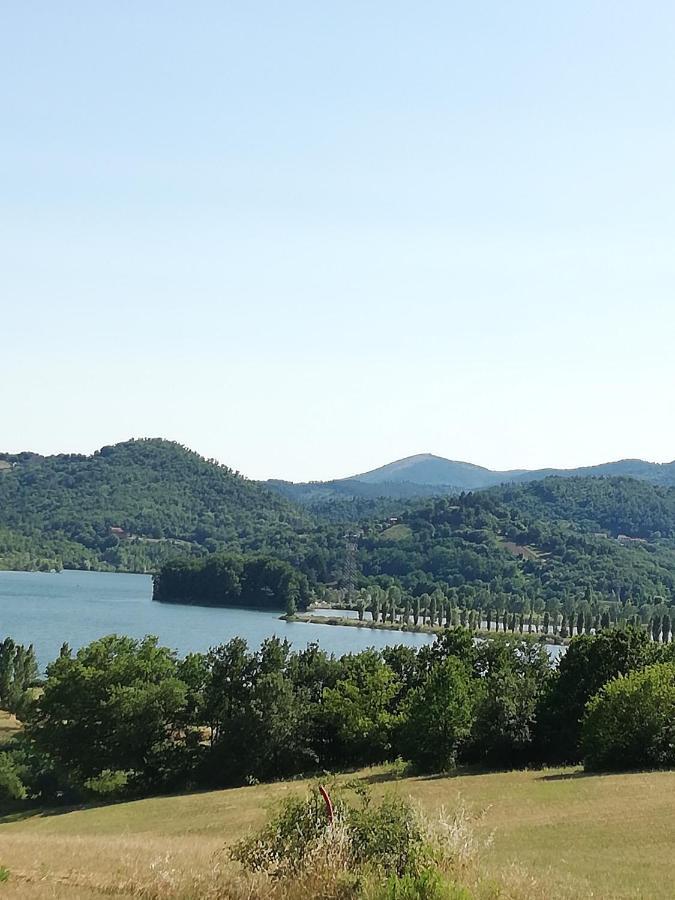 Il Lago Del Mugello B&B Barberino di Mugello Exteriör bild